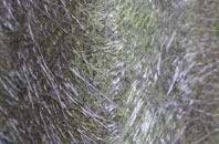 Lower Chapel fibreglass roof work